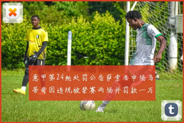意甲第24轮处罚公告萨索洛中场马蒂奇因违规被禁赛两场并罚款一万欧元