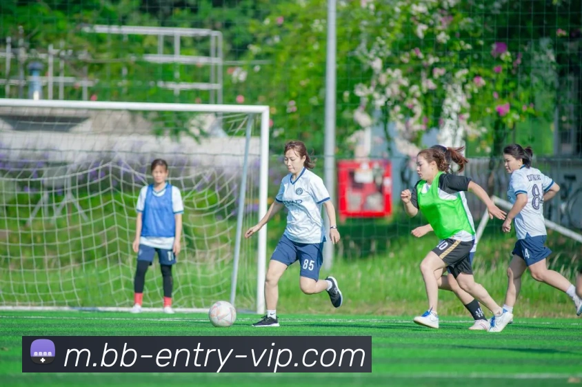 贝博bb官网平台生态图